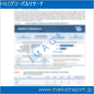 市場と産業調査レポートのイメージ